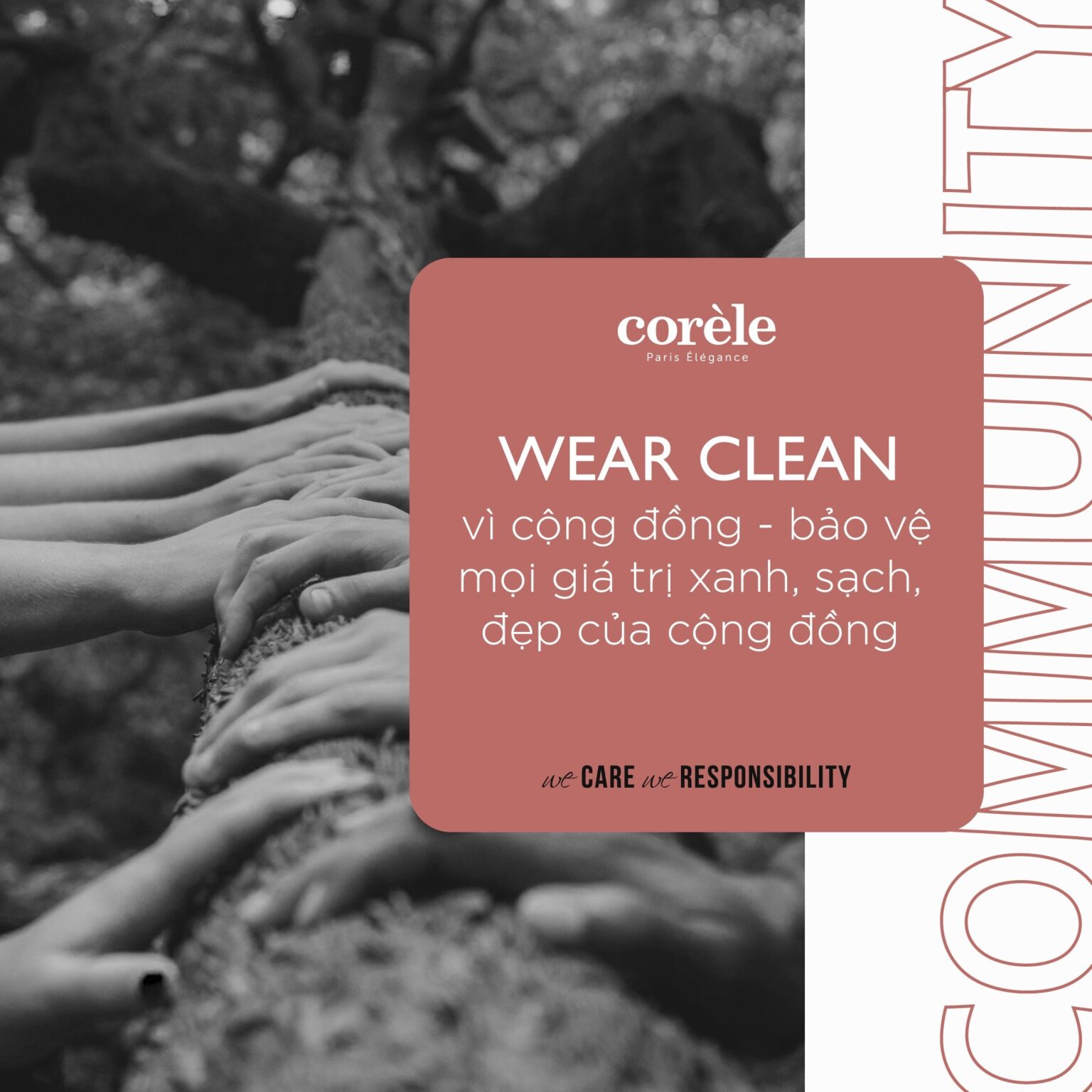 wear clean vi cong don